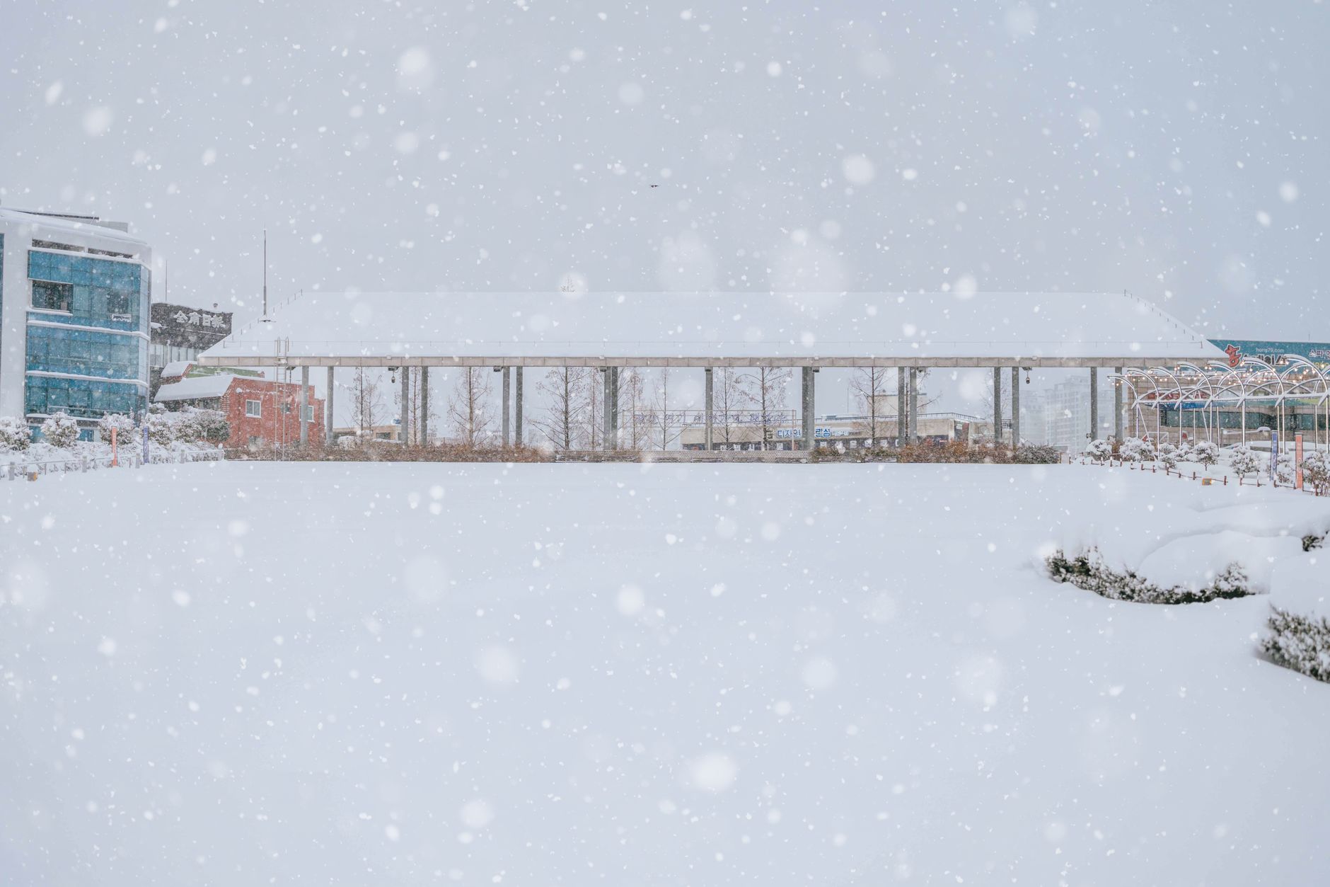 A serene urban scene with buildings and heavy snowfall creating a winter wonderland.