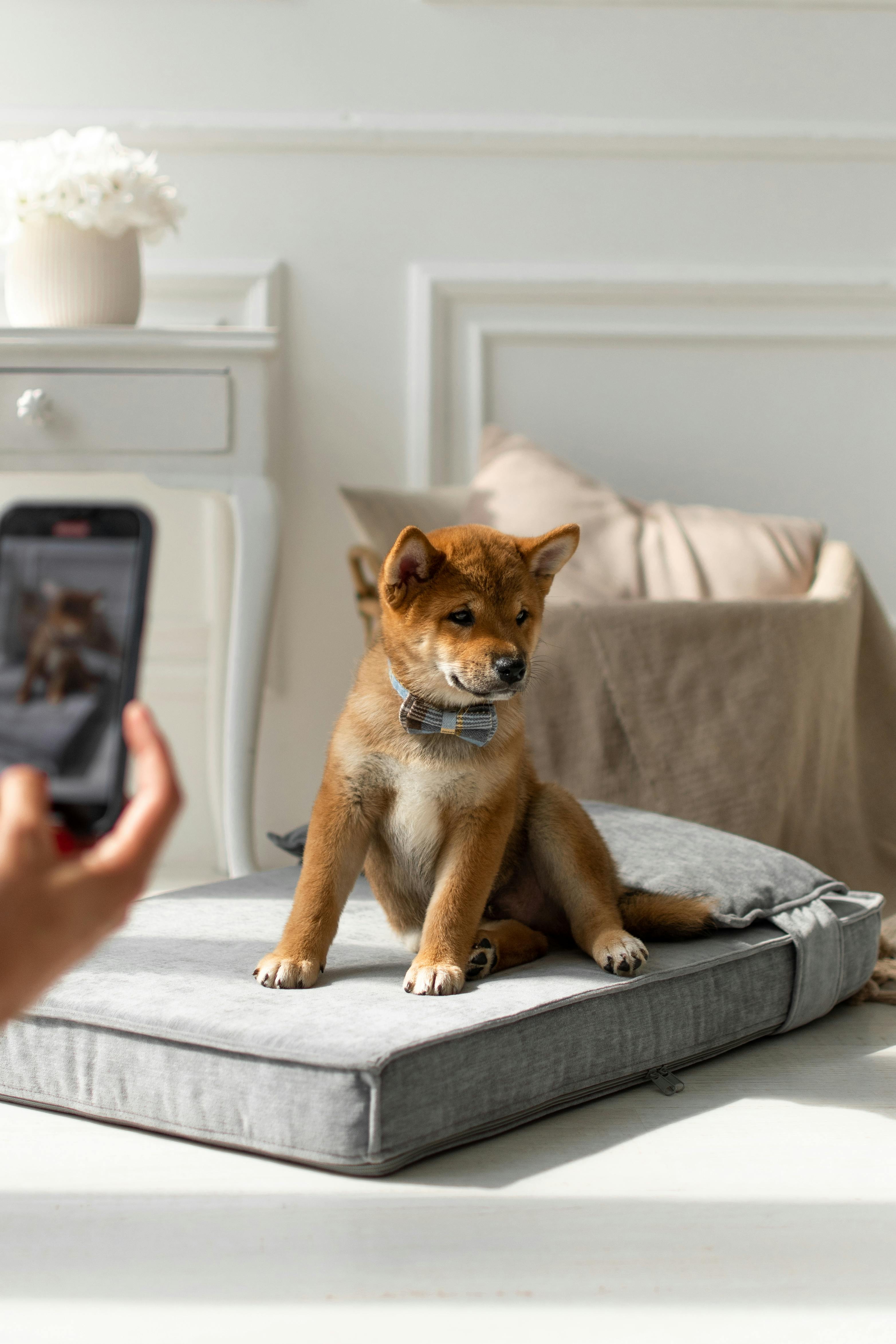 Blogger-Outreach-Prozess Dokumentieren: So Gewinnen Sie Partner! 8 Die Kunst der Ansprache: Tipps für erfolgreiche Outreach-E-Mails an Blogger!