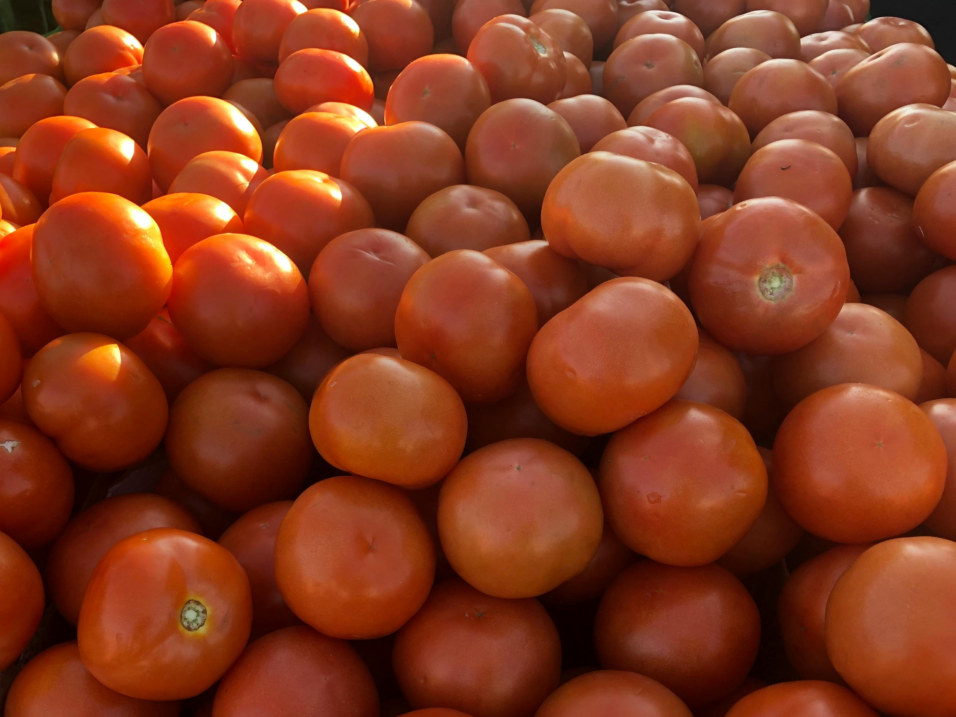 Foto Stok Gratis Tentang Pasar Buah Tomat Merah