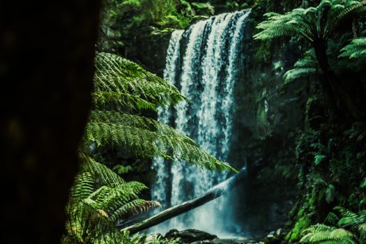 View of a serene waterfall surrounded by lush greenery and ferns in a forest.