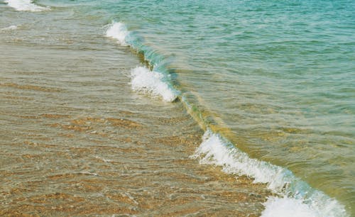 Gratis lagerfoto af bølge, hav, natur