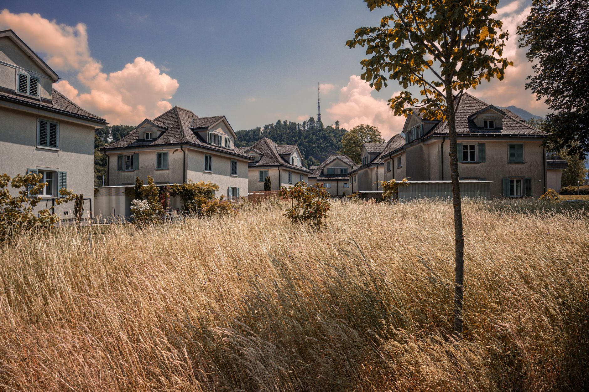 Picturesque houses in a serene residential area of Sankt Gallen, surrounded by nature.