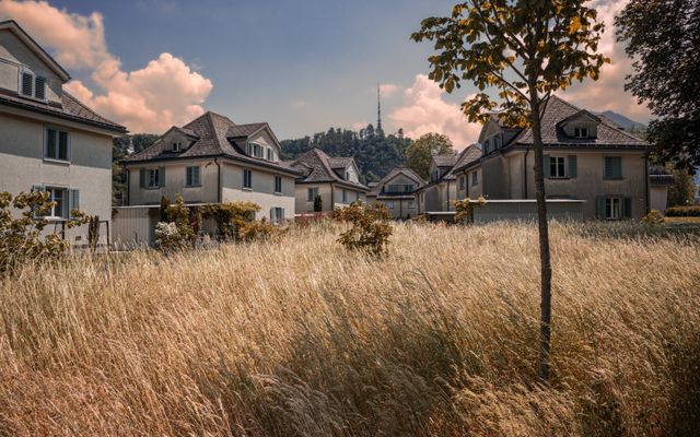 Le zone di Montecchio Maggiore: guida ai quartieri 2026 – Keyspace – Agenzia immobiliare a Vicenza e provincia quartiere residenziale case veneto