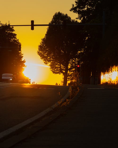 Imagine de stoc gratuită din aparat foto, leuven