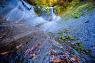 Stream in Autumn Forest