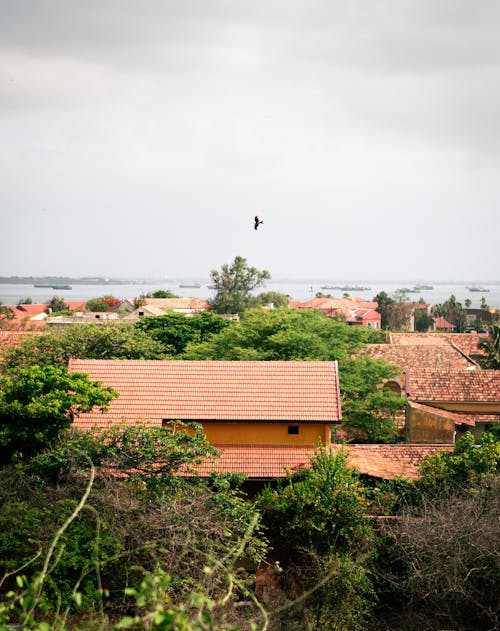 Gratis stockfoto met bomen, dronefoto, gebouwen