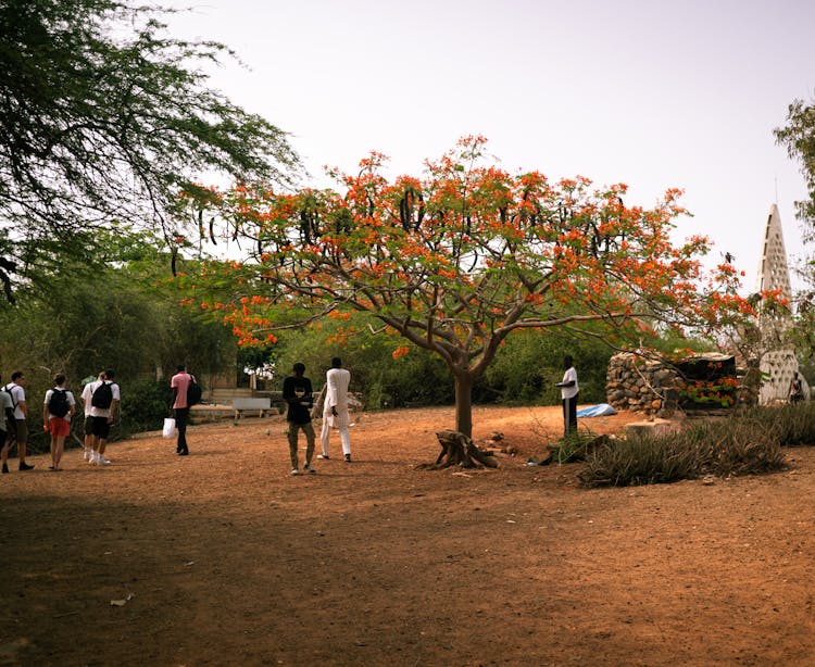 People Walking At Park In Senegal