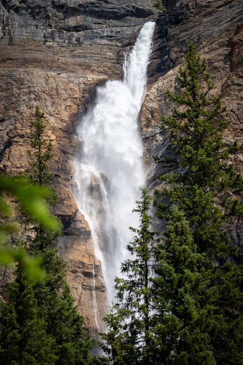 Waterfall behind Trees