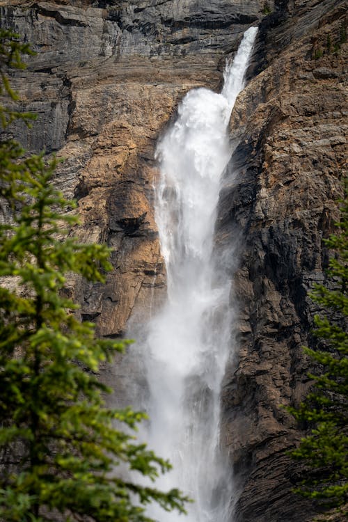 Бесплатное стоковое фото с вертикальный выстрел, водопад, дерево