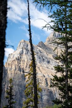 Breathtaking view of rocky mountains surrounded by lush forest in Banff National Park, Canada.