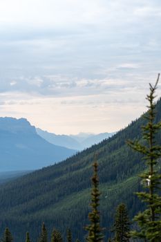 A breathtaking view of lush forests and distant mountains in Banff National Park during summer.