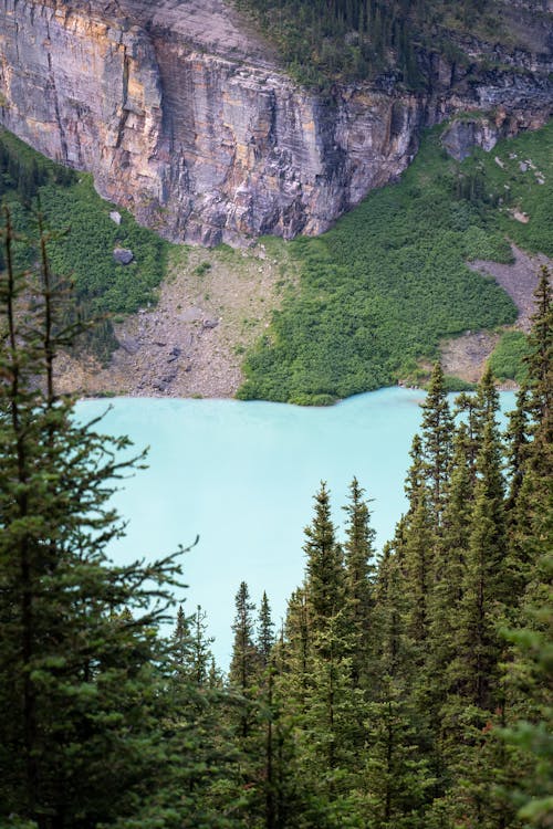 Bird Eye View on Lake Louise in Banff National Park