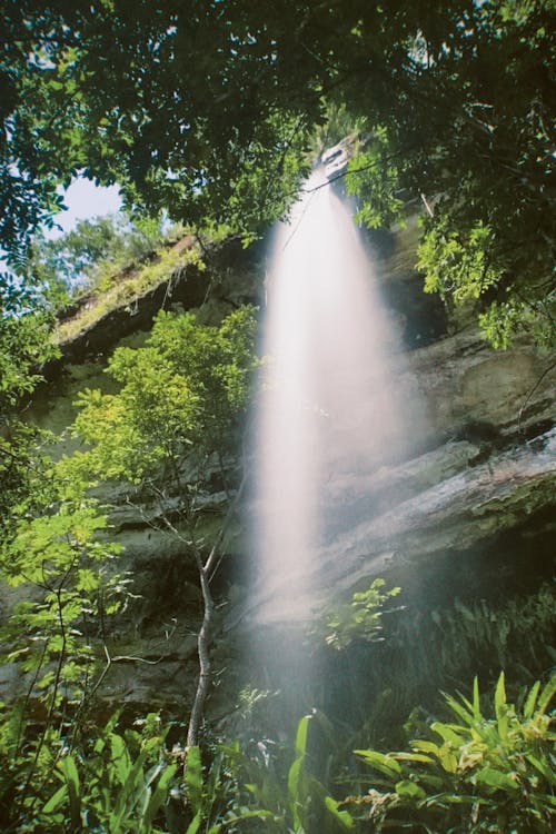 Foto d'estoc gratuïta de cascada, estiu, exposició prolongada