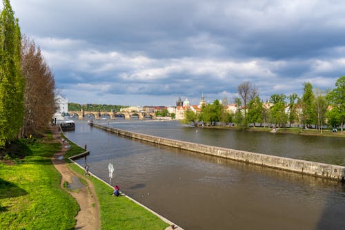 伏尔塔瓦河, 地標, 城市 的 免费素材图片