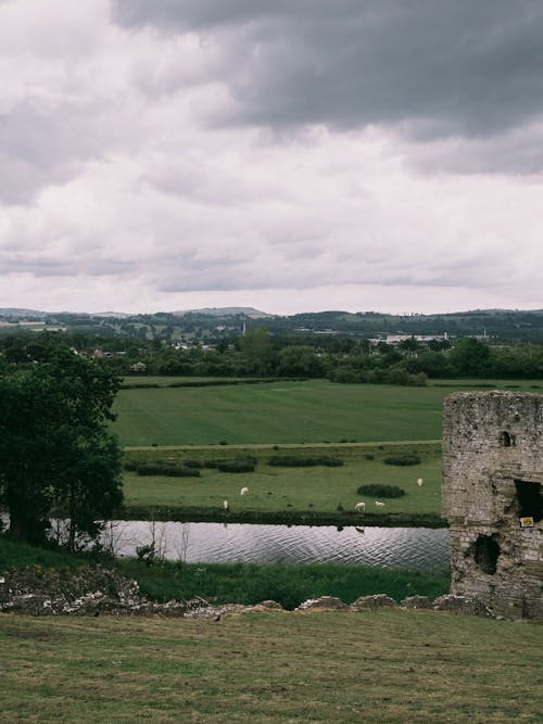 Green Pastures on a Cloudy Day