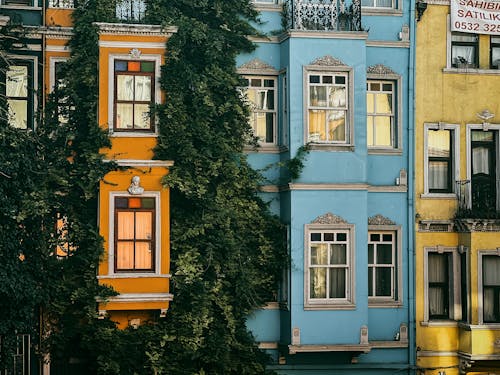 Facades of Colorful Tenement Houses Covered with Ivy