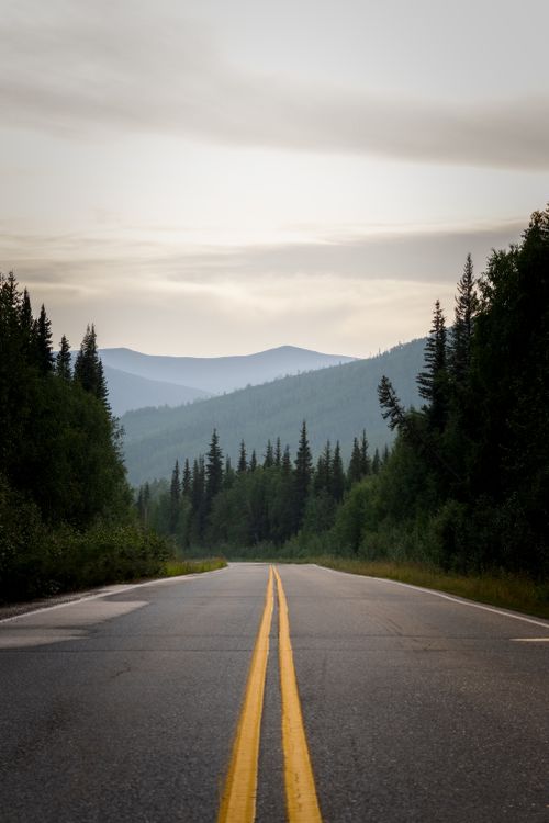 Free A tranquil road winding through lush forest with mountain backdrop in Fairbanks, AK. Stock Photo