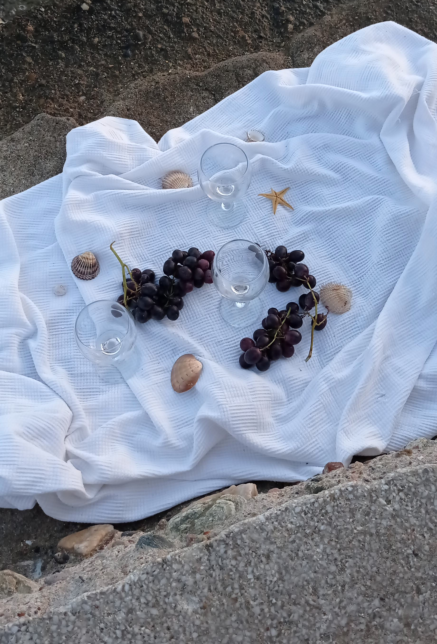 Fotomural Una serena disposición de picnic con uvas y gafas sobre un paño blanco junto a una playa rocosa.