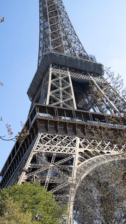 Gratis lagerfoto af Eiffeltårnet, planteelsker