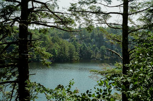 Fotobanka s bezplatnými fotkami na tému dedinský, divá príroda, jazero minnewaska