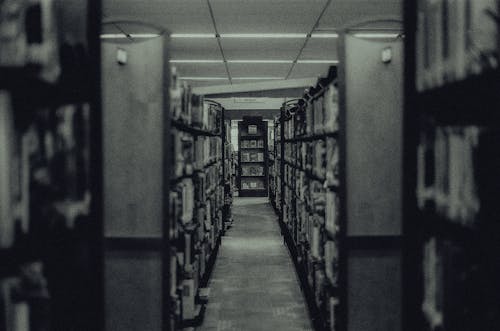 Foto profissional grátis de biblioteca, estantes, livros