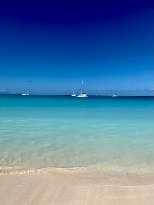 Luxury Yachts Anchored by Beach on Clear Blue Sea