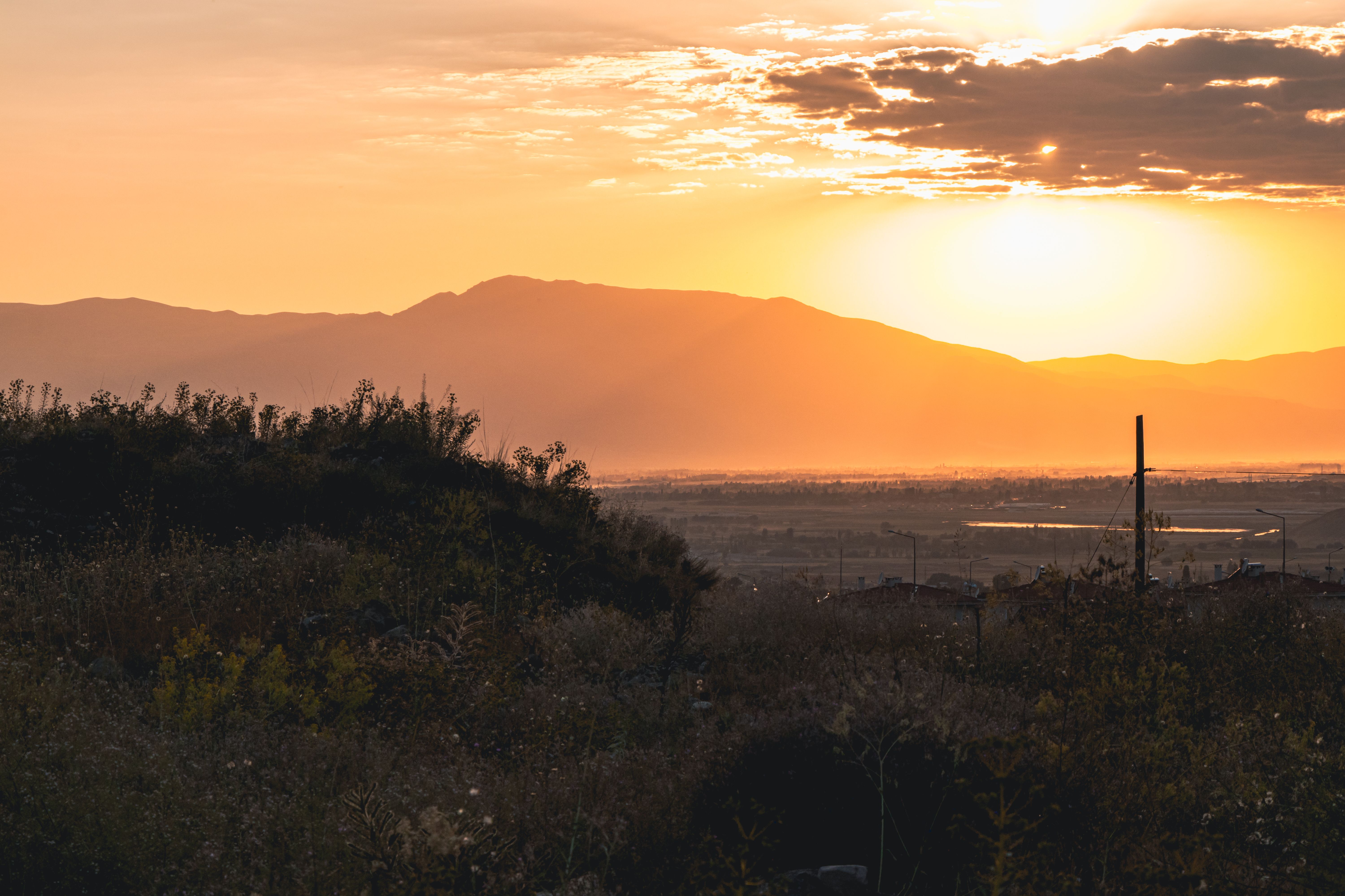 Sunlight on Yellow Sky over Bushes at Sunset · Free Stock Photo