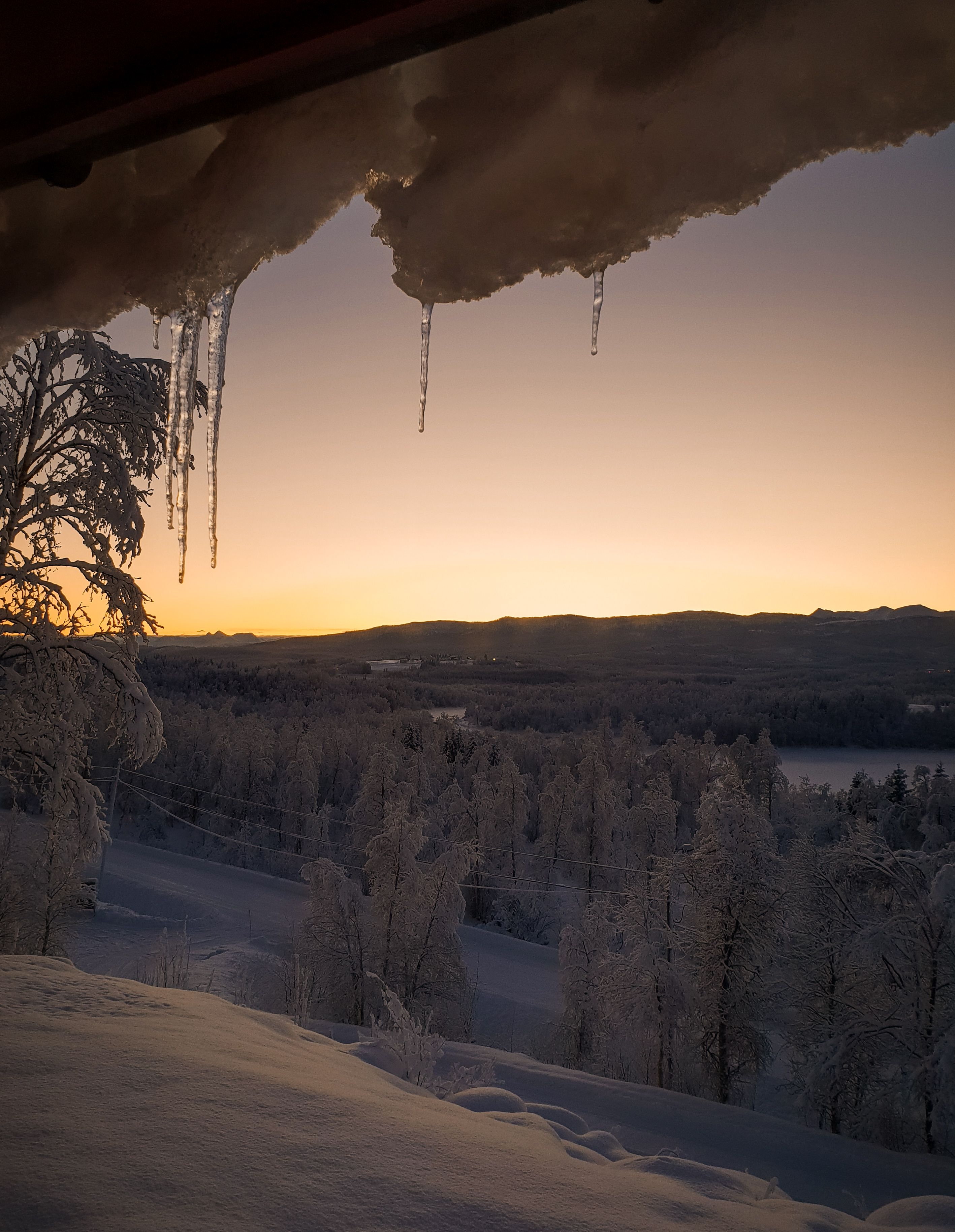 photo-of-trees-covered-with-snow-free-stock-photo
