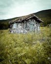 一座饱经风霜的小屋孤零零地矗立在郁郁葱葱的草丛中，唤起对荒野的怀旧之情