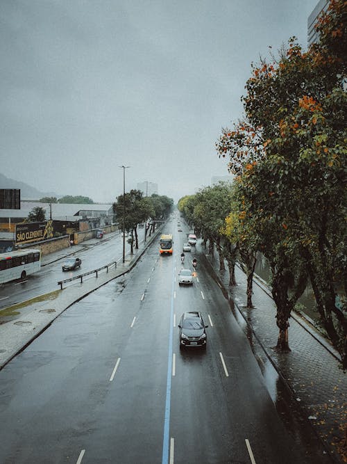 Foto profissional grátis de automóveis, chuva, cidade