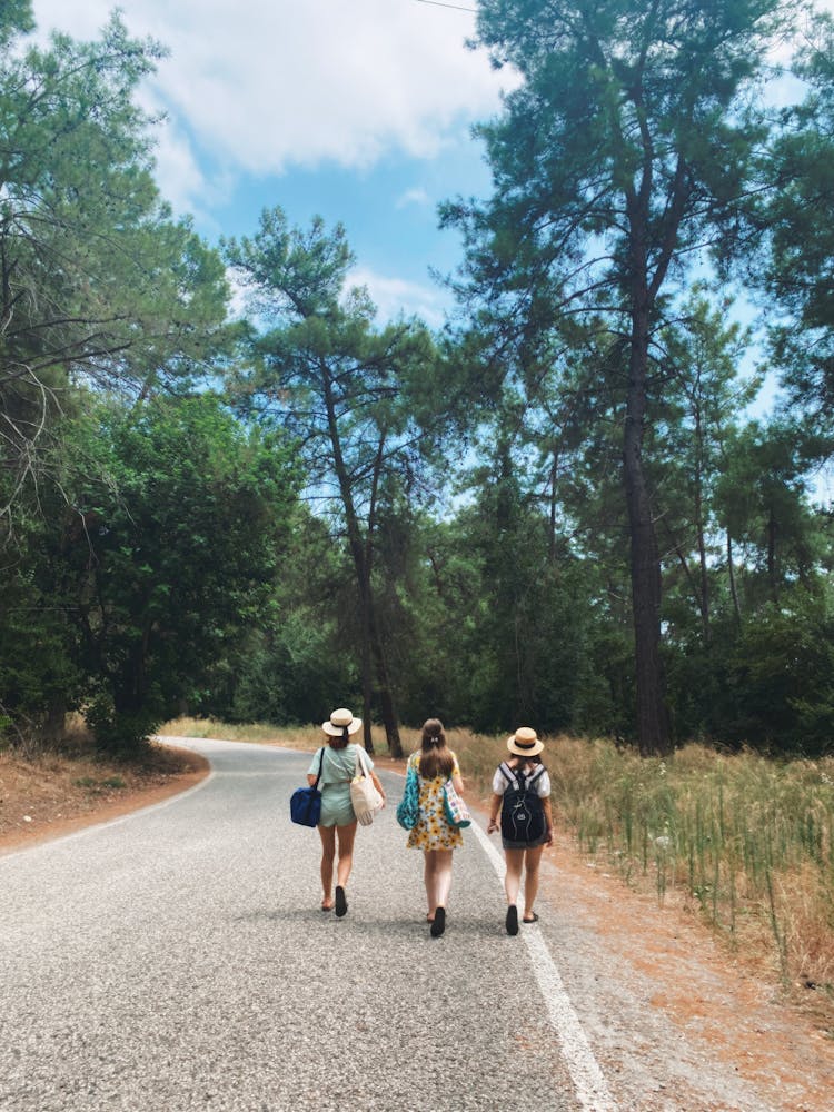 Women Walking On Road In Forest