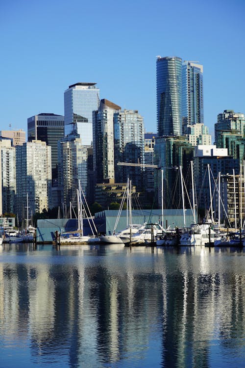 Skyscrapers on Coast in City