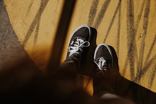 Black and White Trainers