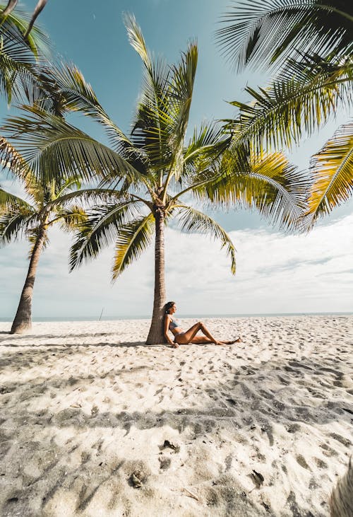 Woman Sitting under Palm Tree on Beach