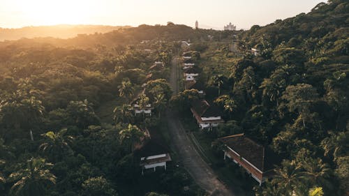 Sunset over Village in Forest