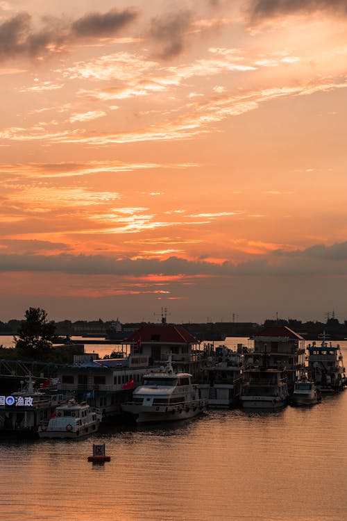 Fotobanka s bezplatnými fotkami na tému breh, kotviaci, lode