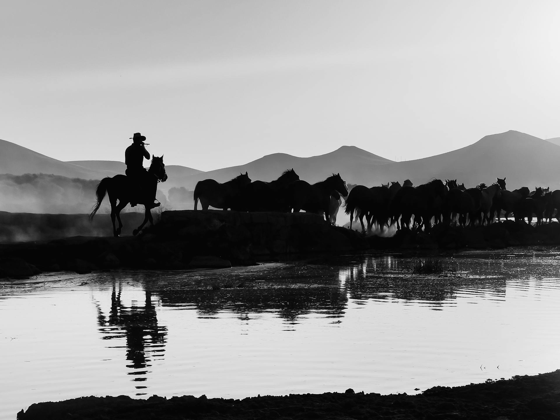 Cowboy met een kudde paarden