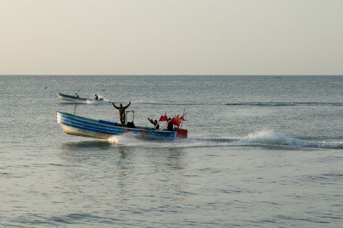 Free A man enthusiastically waves from a speeding motorboat on a calm sea under clear skies. Stock Photo