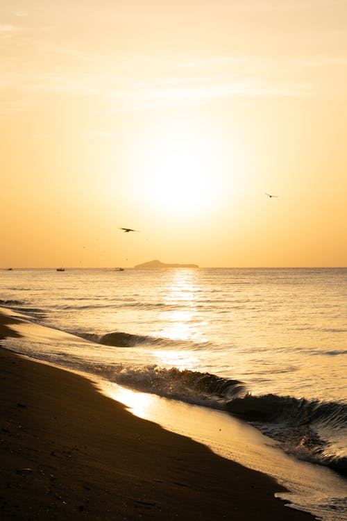 垂直拍攝, 日出, 海 的 免費圖庫相片