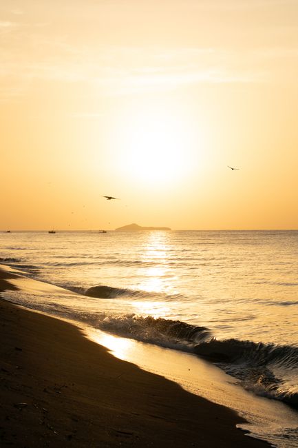 Golden sunrise over a serene beach with gentle waves and birds in flight.