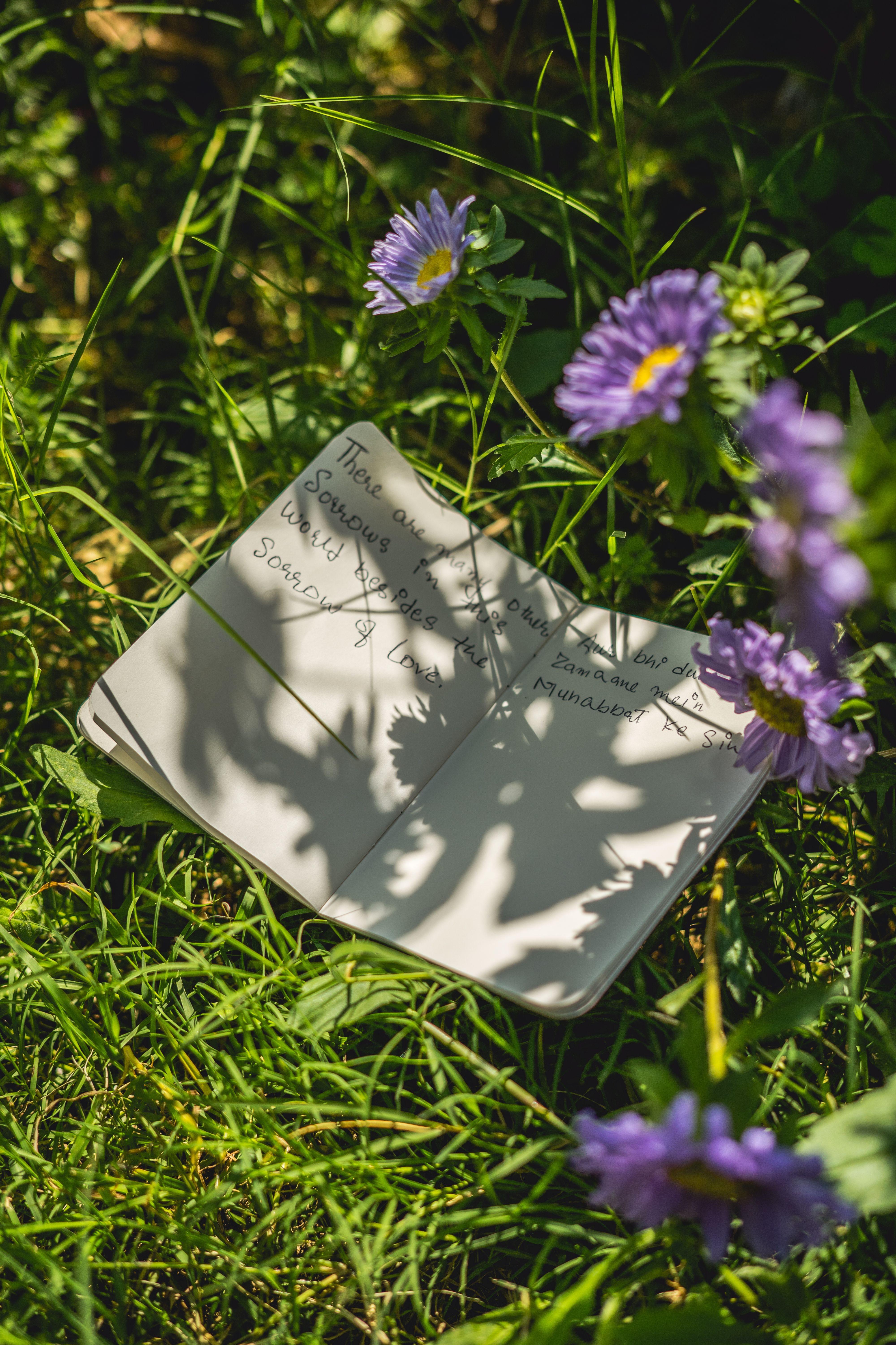 green leaves and wildflowers in a nature observation notebook