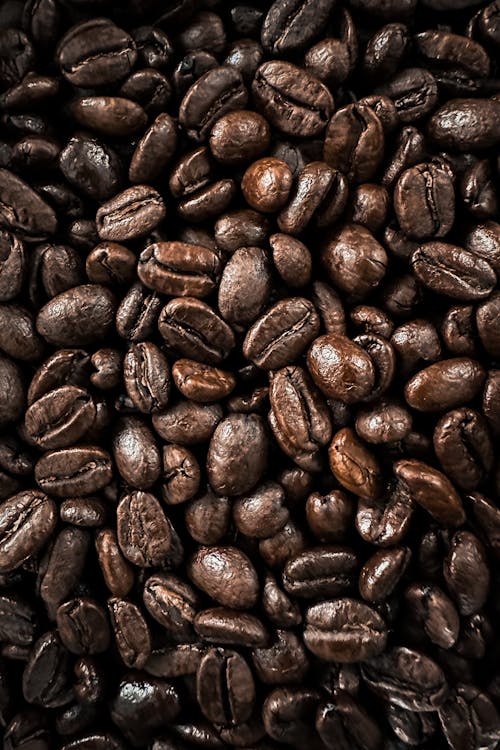 Бесплатное стоковое фото с коричневый, кофе, кофейное зерно