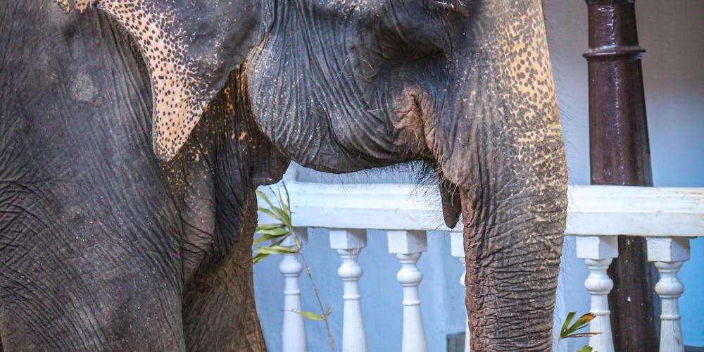 Tuyển dụng HRBP cho công ty quốc tế ở Sri Lanka – Chiến lược tối ưu để xây dựng đội ngũ nhân sự đỉnh cao