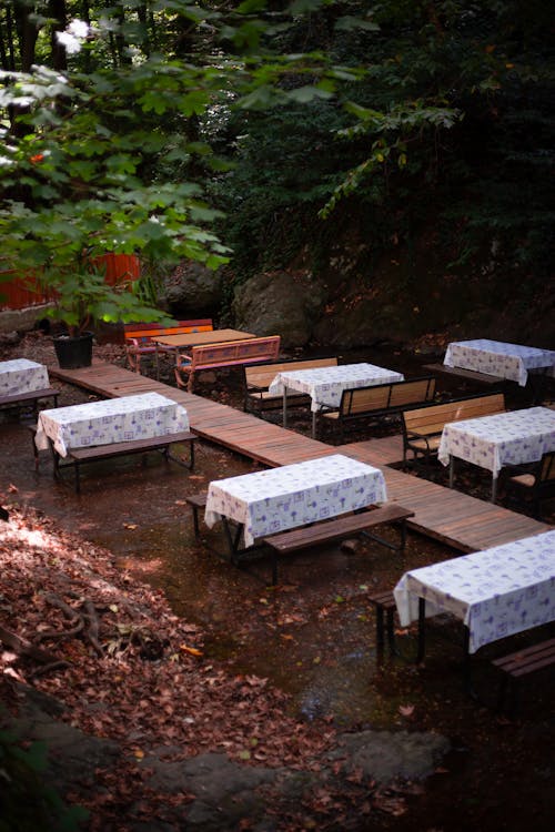 Free Tables and Benches in Forest Stock Photo