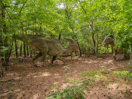 Free stock photo of dinosaurs