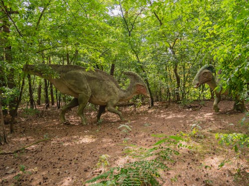 Gratis lagerfoto af dinosaurer