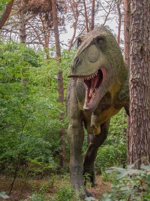 Gratis lagerfoto af dinosaurer