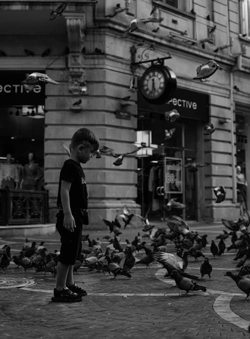 Immagine gratuita di bambino, bianco e nero, città