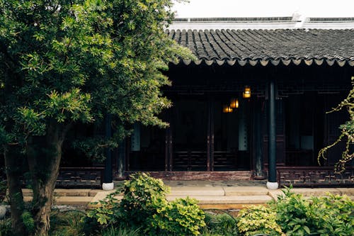 Chinese Traditional Building