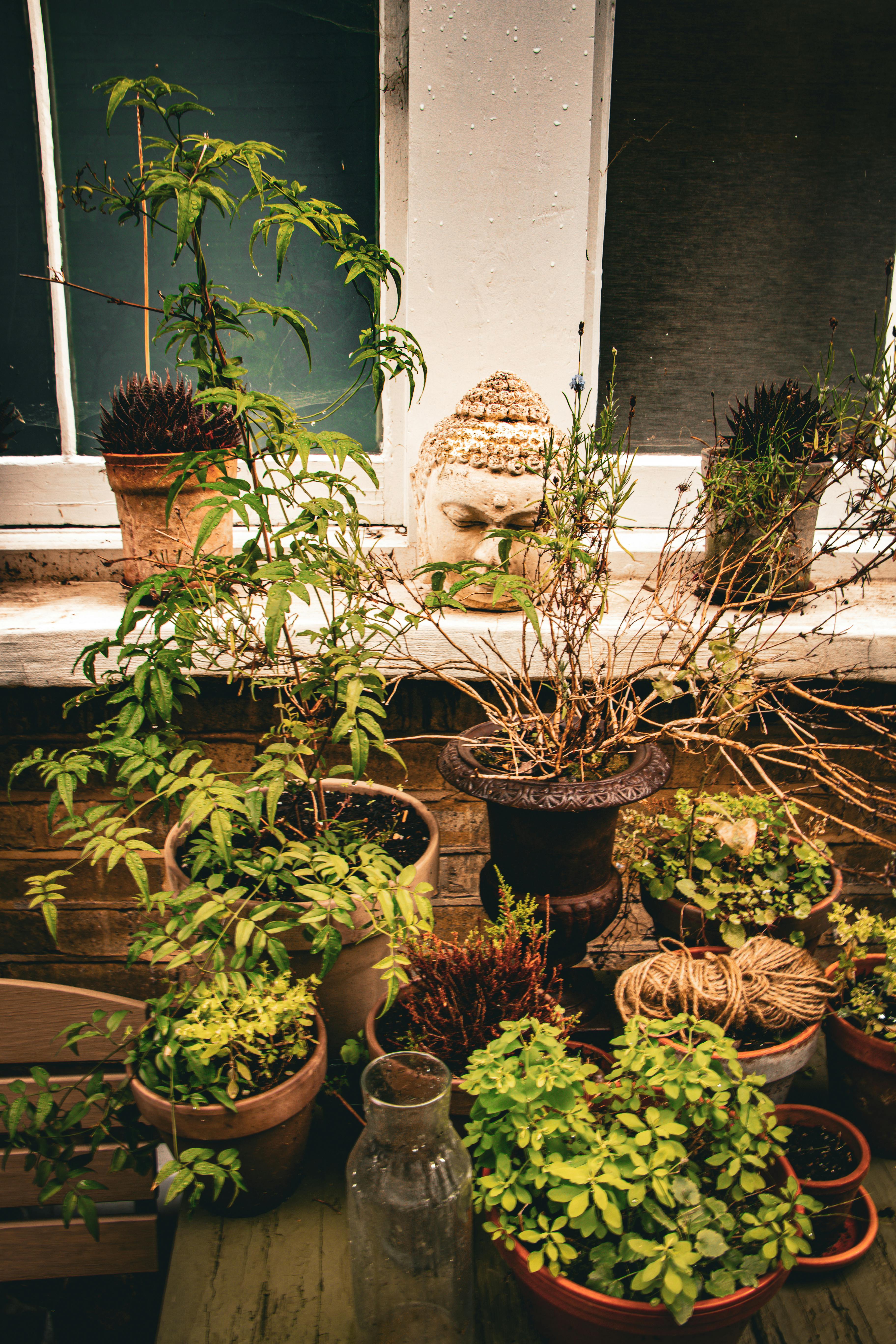 Patio De Goya Photos, Download The BEST Free Patio De Goya Stock Photos